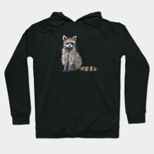 Raccoon Hoodie